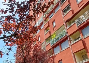 Foto 17 - Monolocale VIA NEGROLI
23, Milano - foto 14