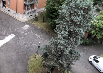 Foto 13 - Quadrilocale via Lorenteggio
209, Milano - foto 13