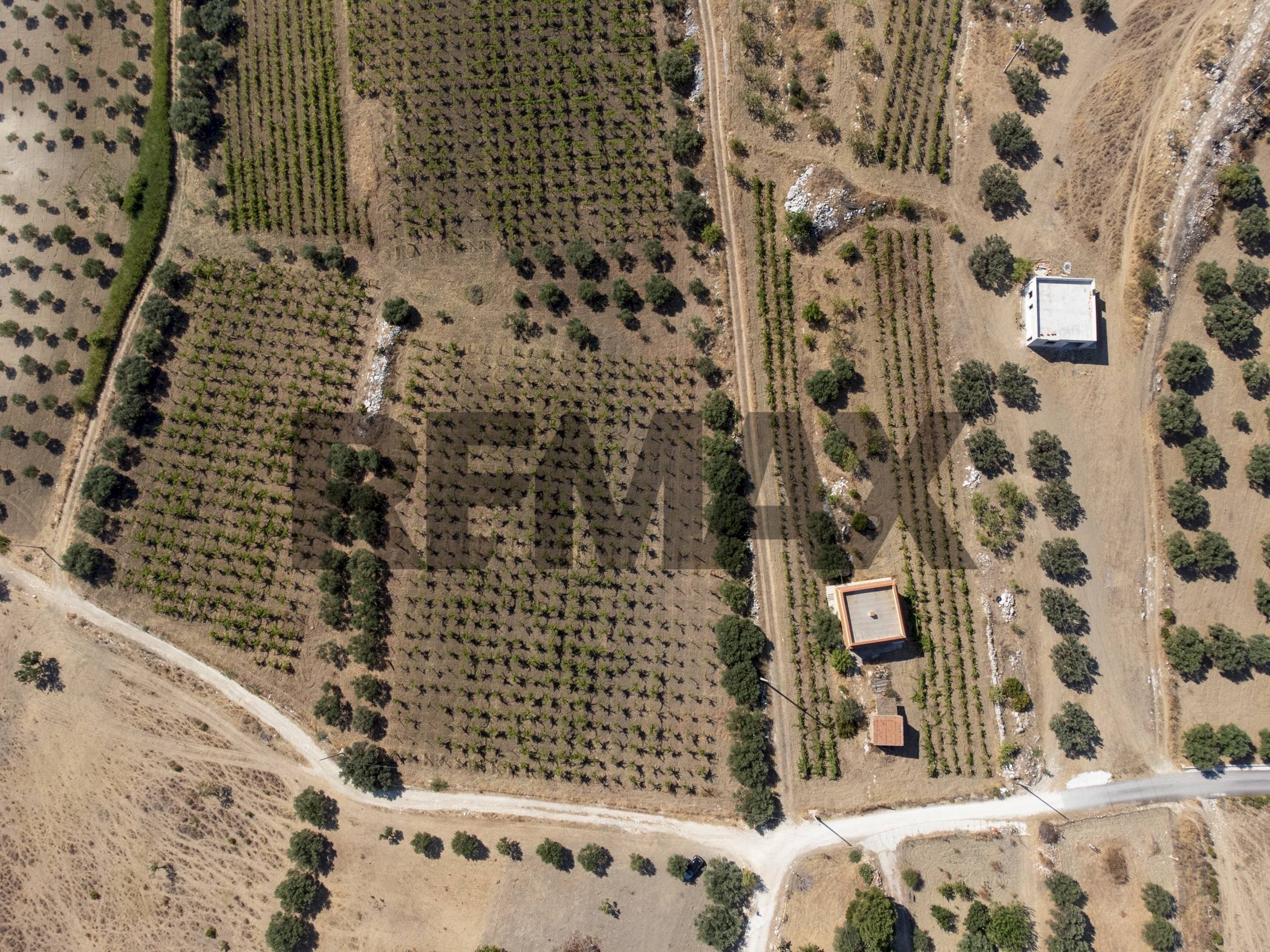 Posizione della mappa - Terreno agricolo Via Ragabo
 
snc, Porto Empedocle - foto 2