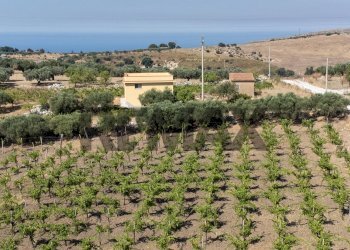 Vista delle montagne - Terreno agricolo Via Ragabo
snc, Porto Empedocle - foto 12