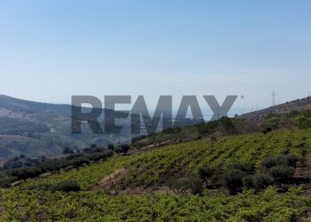 Vista delle montagne - Terreno agricolo Via Ragabo
snc, Porto Empedocle - foto 15