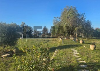 Giardino - Rustic Zimmardo Bellamagna
 
snc, Modica - photo 12