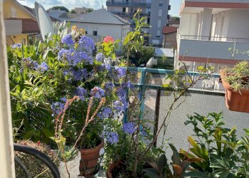 Balcone - Appartamento VIA BASILICATA
10, Montesilvano - foto 9