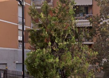 Edificio all\'aperto - Four-room apartment VIA TIZIANO VECELLIO
 
3, Pescara - photo 2