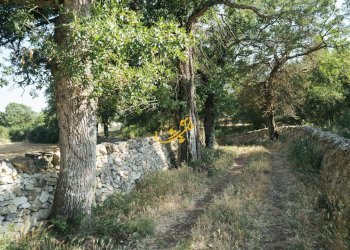 Foto 15 - Baita Strada Mangiatello, Martina Franca - foto 15