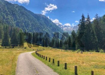 Vista delle montagne - Casa semi indipendente Isclacia
 
5, Ossana - foto 5