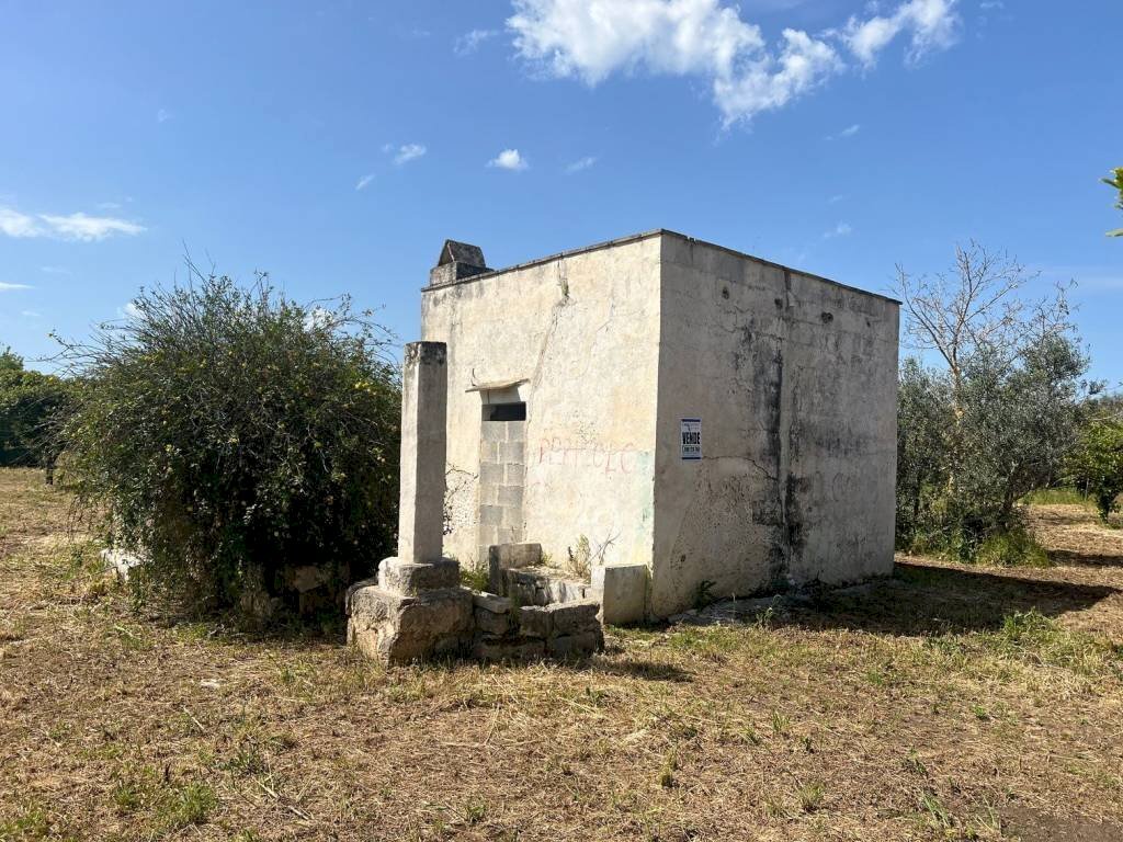 Terreno - Terreno edificabile strada Vicinale Bon-Amì, Matino - foto 2