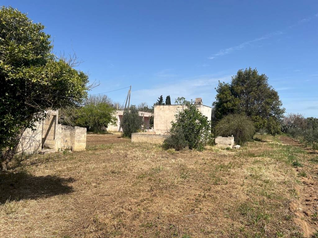 Terreno - Terreno edificabile strada Vicinale Bon-Amì, Matino - foto 3