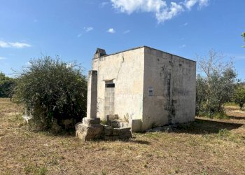 Terreno - Terreno edificabile strada Vicinale Bon-Amì, Matino - foto 2