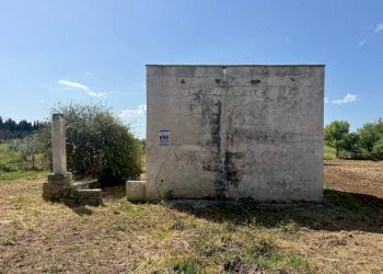 Terreno - Terreno edificabile strada Vicinale Bon-Amì, Matino - foto 7