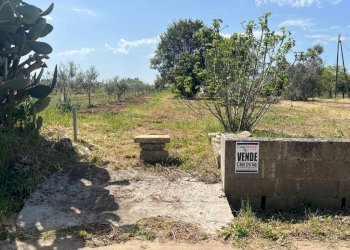 Terreno - Terreno edificabile strada Vicinale Bon-Amì, Matino - foto 10