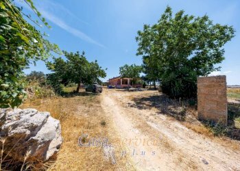 Terreno - Villa SP362, Supersano - foto 16