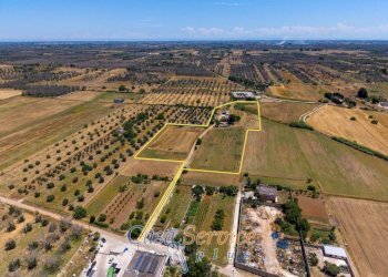 Vista - Villa SP362, Supersano - foto 19