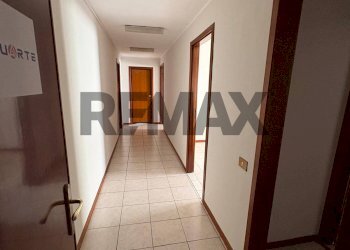 Hall / corridoio - Ufficio Via Tiburtina
180, Frosinone - foto 12