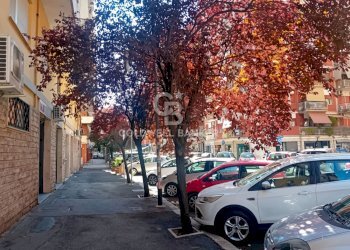 Foto 11 - Bilocale Via Antonino Lo Surdo, Roma - foto 11