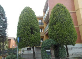 Facciata - Appartamento Zola Predosa - foto 1