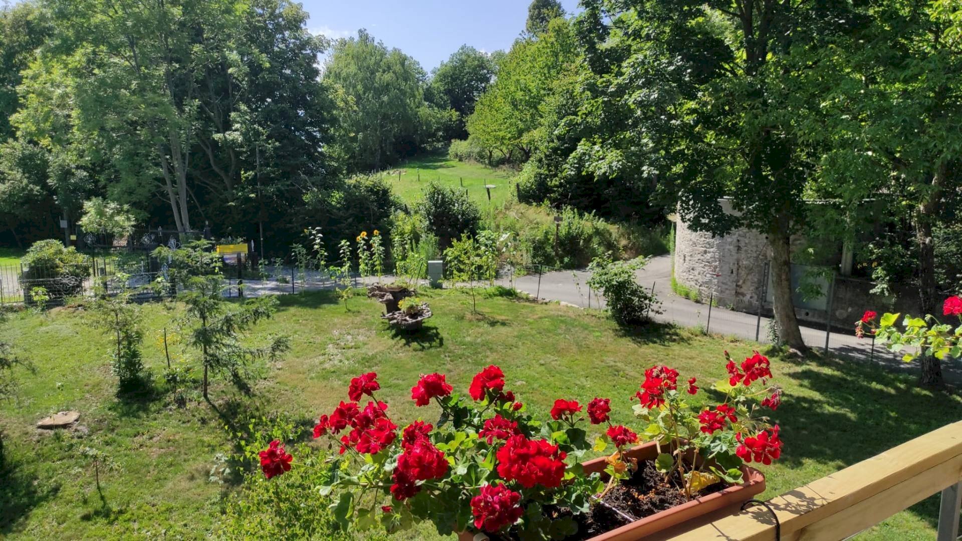 Giardino - Casa indipendente frazione Casere, Laveno-Mombello - foto 1