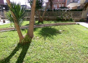 Giardino - Trilocale via delle Meduse, 26, Anzio - foto 8