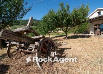 Terreno - Rustic Frazione Costa, 123, Arcevia - photo 34
