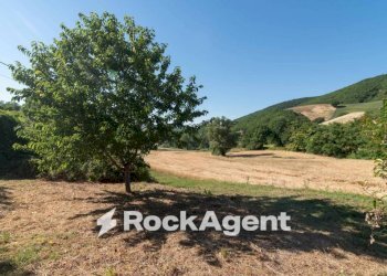 Terreno - Rustic Frazione Costa, 123, Arcevia - photo 33
