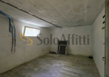 cantina - Quadrilocale Via Santa Croce snc, Bertinoro - foto 25