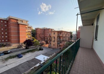 WhatsApp Image 2026-07-23 at 10.57.48 - Quadrilocale Frosinone - foto 16