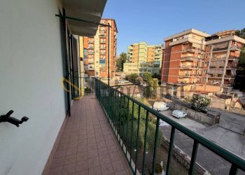 WhatsApp Image 2026-07-23 at 10.57.48 (1) - Quadrilocale Frosinone - foto 17