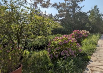 giardino - Portion of a house Ceranesi - photo 29
