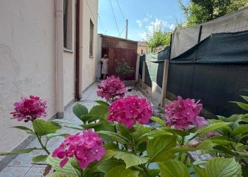 corte - Villa Trifamiliare Senigallia - foto 8