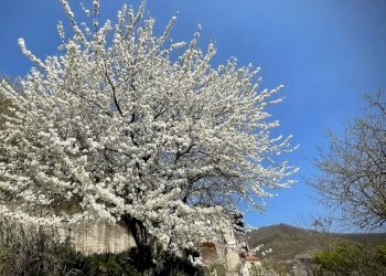 Casa indipendente Spigno Monferrato - foto 42