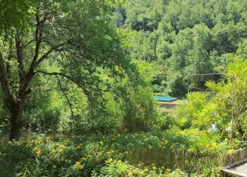 Casale Apricale - photo 26