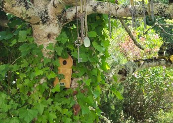 Casale Apricale - photo 32