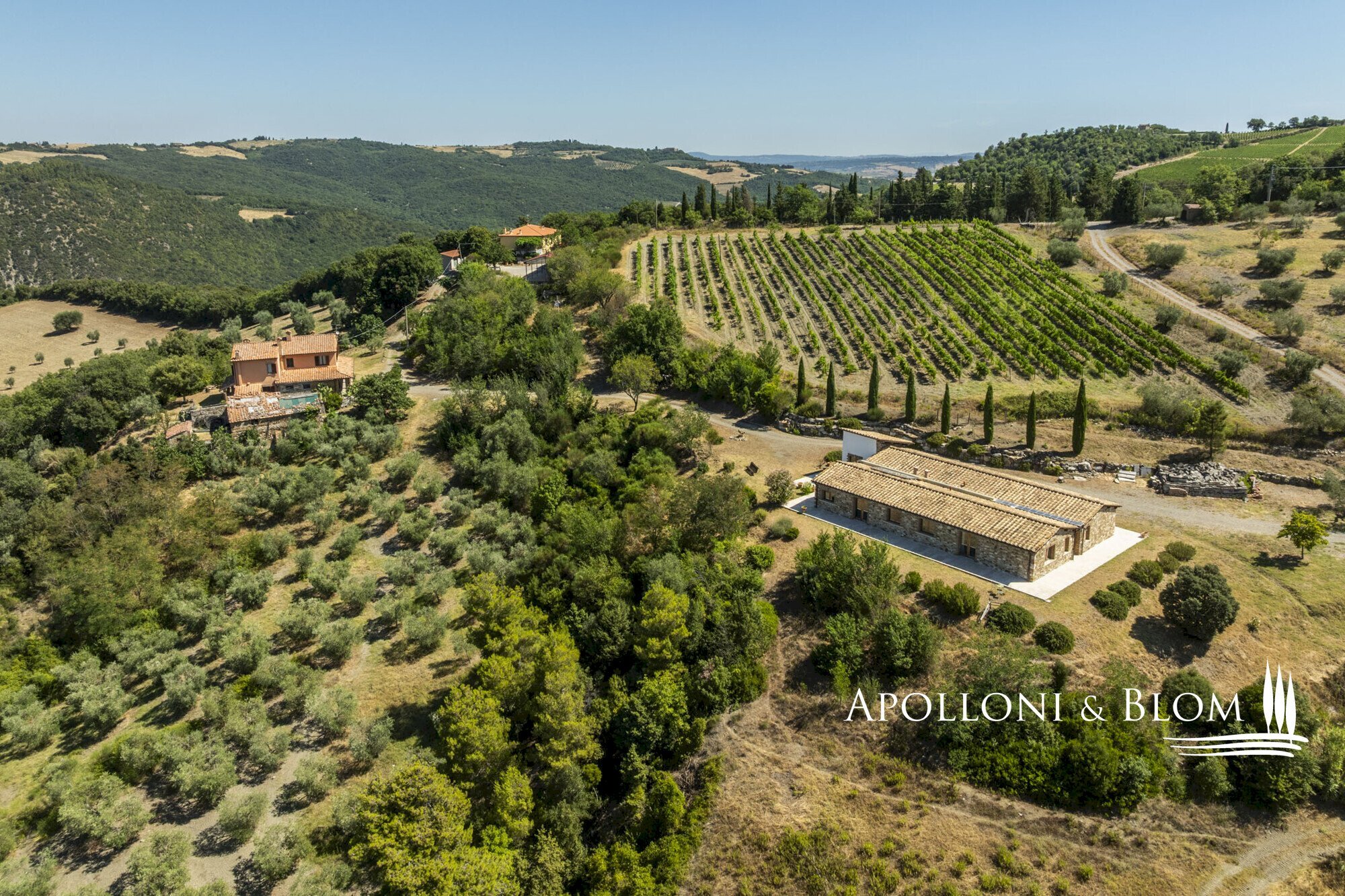 Rustico S.da Provinciale del Monte Amiata, 53023, Castiglione d'Orcia - foto 2