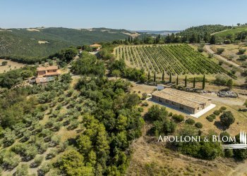 Rustico S.da Provinciale del Monte Amiata, 53023, Castiglione d'Orcia - foto 2