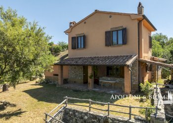 Rustico S.da Provinciale del Monte Amiata, 53023, Castiglione d'Orcia - foto 6
