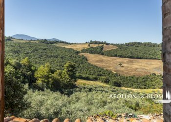 Rustico S.da Provinciale del Monte Amiata, 53023, Castiglione d'Orcia - foto 17
