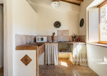 Rustico S.da Provinciale del Monte Amiata, 53023, Castiglione d'Orcia - foto 48