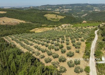 Rustico S.da Provinciale del Monte Amiata, 53023, Castiglione d'Orcia - foto 56