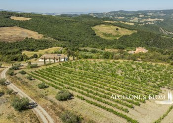 Rustico S.da Provinciale del Monte Amiata, 53023, Castiglione d'Orcia - foto 57