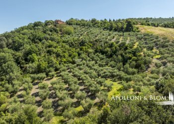 Rustico S.da Provinciale del Monte Amiata, 53023, Castiglione d'Orcia - foto 61
