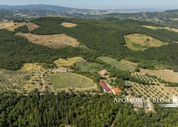 Rustico S.da Provinciale del Monte Amiata, 53023, Castiglione d'Orcia - foto 64