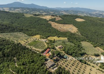 Rustico S.da Provinciale del Monte Amiata, 53023, Castiglione d'Orcia - foto 65