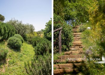 Villa Unifamiliare Via San Donato, 8, Passignano sul Trasimeno - foto 32