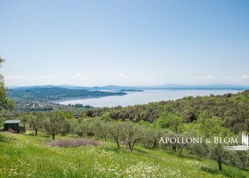 Villa Unifamiliare Via San Donato, 8, Passignano sul Trasimeno - foto 43