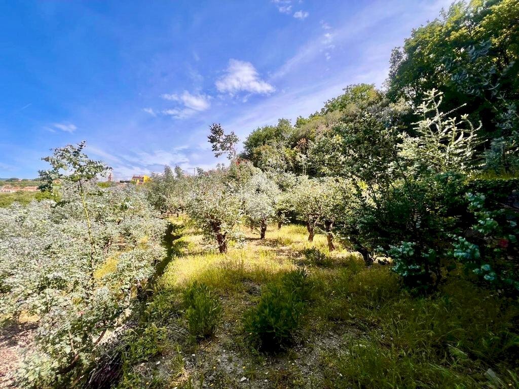 Terreno agricolo Via bracciale, Finale Ligure - foto 1