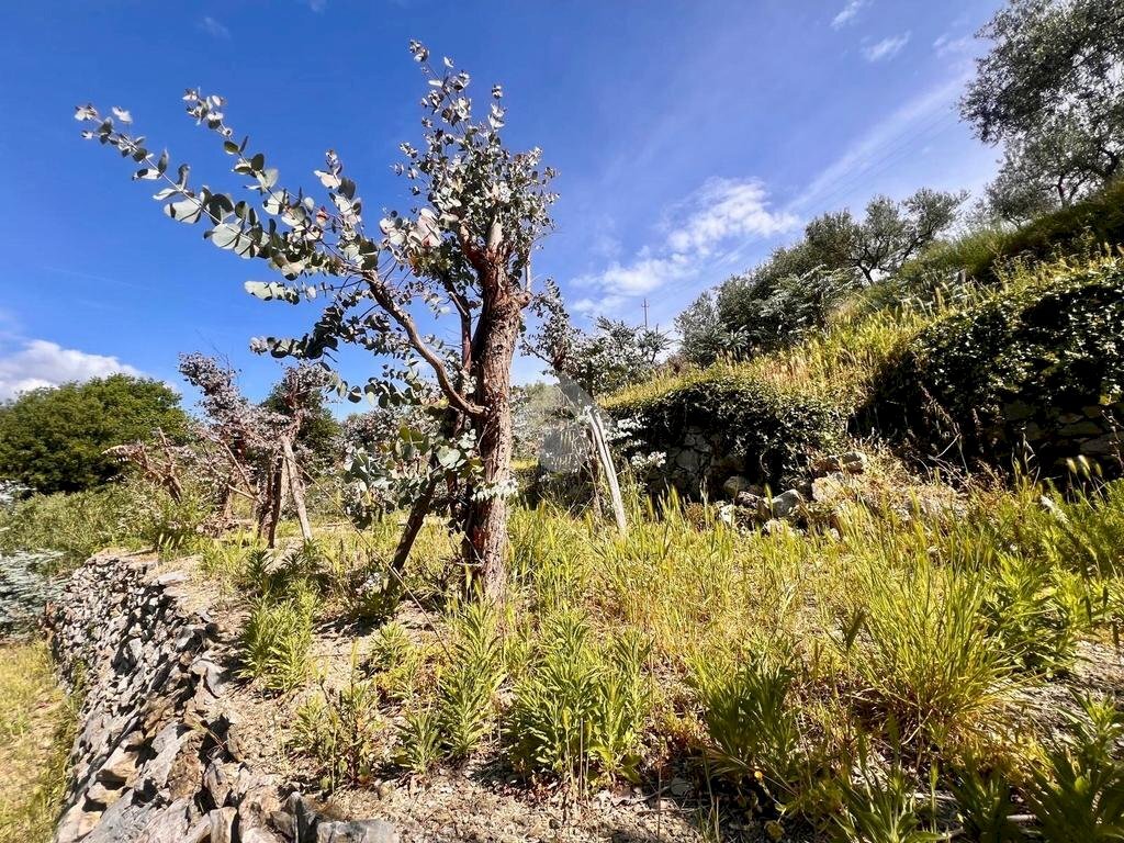 Terreno agricolo Via bracciale, Finale Ligure - foto 3