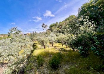 Terreno agricolo Via bracciale, Finale Ligure - foto 1