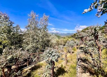 Terreno agricolo Via bracciale, Finale Ligure - foto 4