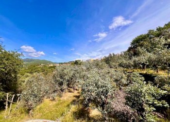 Terreno agricolo Via bracciale, Finale Ligure - foto 7