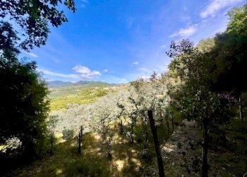 Terreno agricolo Via bracciale, Finale Ligure - foto 8